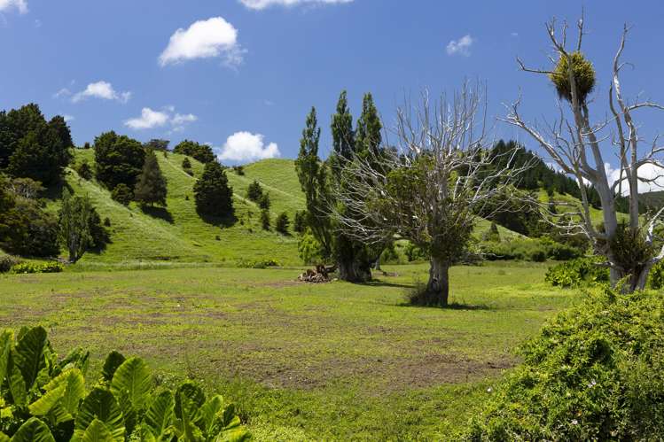 791 Fairburn Road Kaitaia Surrounds_3