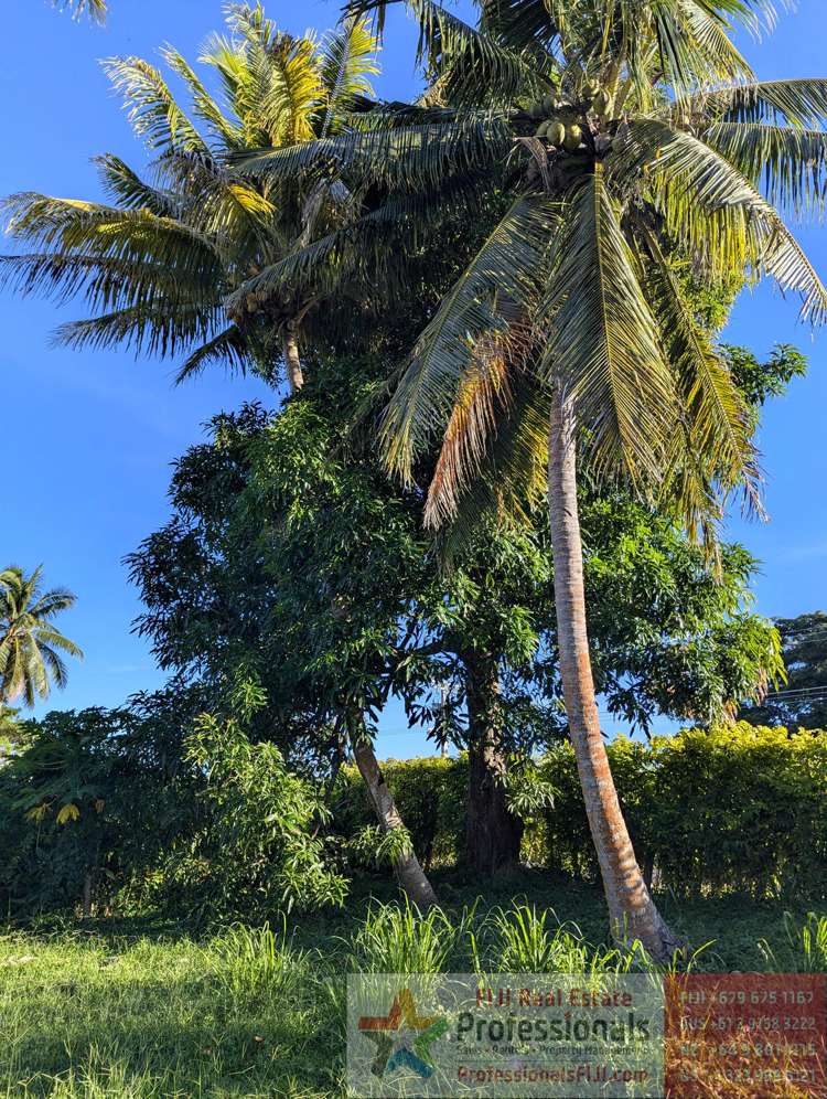 Address withheld Taveuni_7