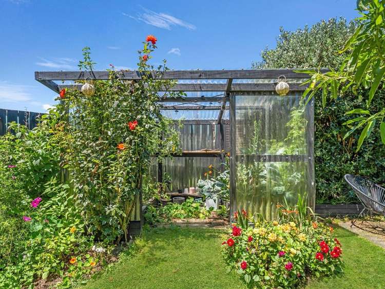 Address withheld Ngongotaha_5