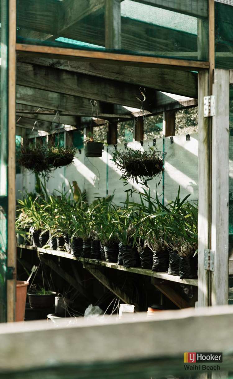 13 Mataura Road Waihi_9