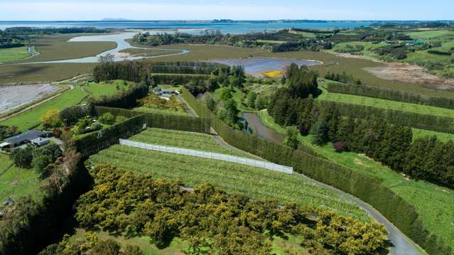 12 Sargent Drive Whakamarama_4