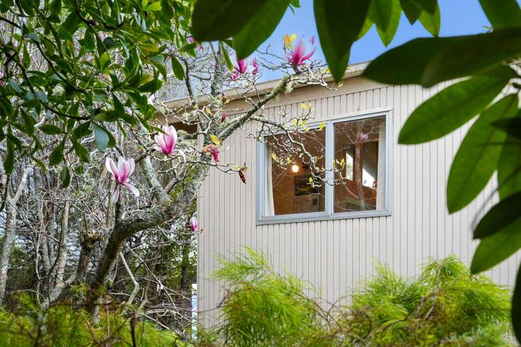 40a Duncansby Road Stanmore Bay_29