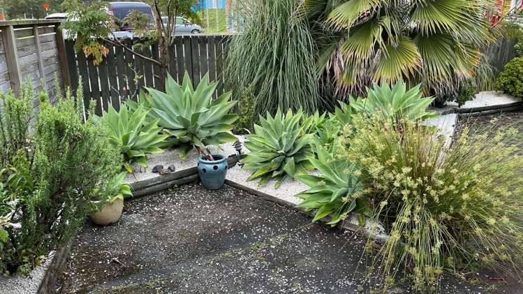 145 Brightside Road Stanmore Bay_12