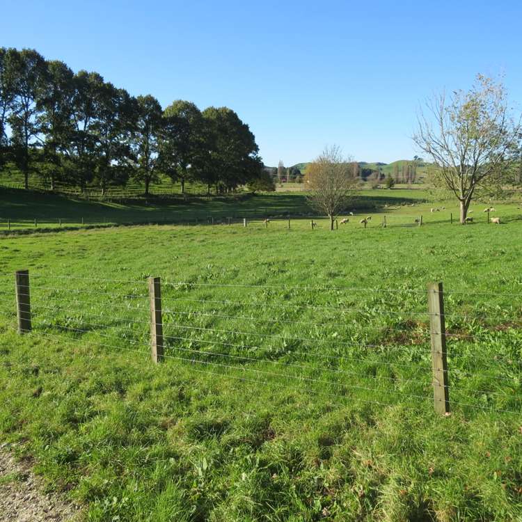 1370 State Highway 3 Te Kuiti_23