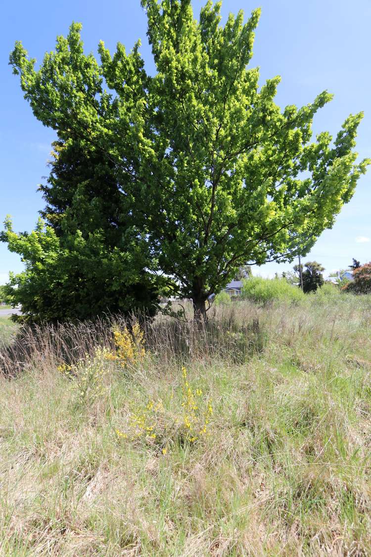 28 Hastings Street Ohai_6