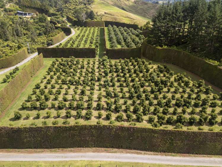 83 I'Anson Road Te Puna_26