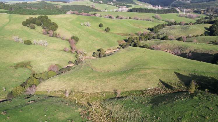 78 Otioro Road Topuni_5