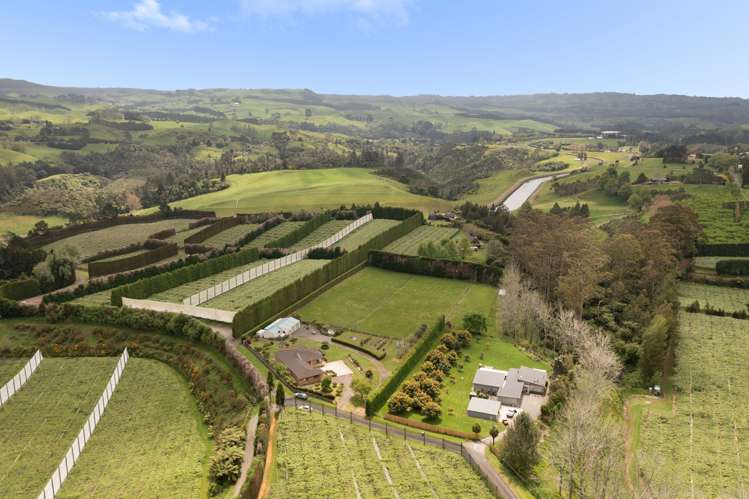 96b Jensen Road Kaimai_45