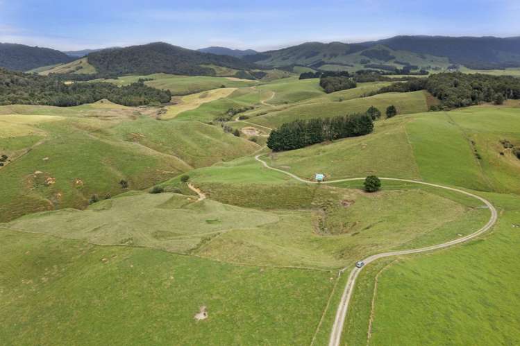 134 Millard Road Maihiihi_10