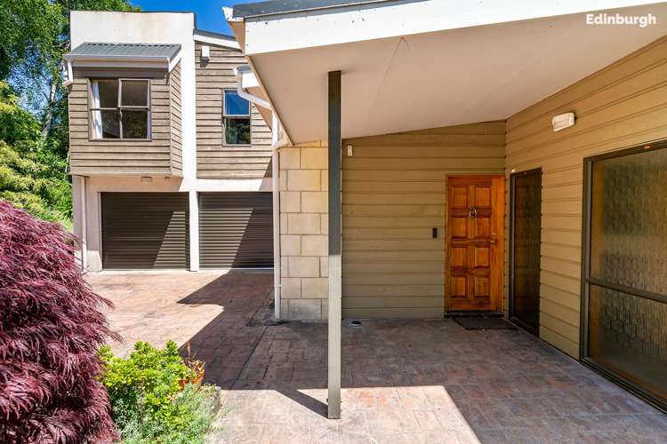 1 Leyden Terrace Andersons Bay_33