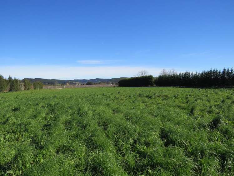 120 Palmer Road Brightwater_5