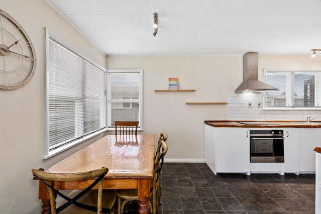 23 Southwark Avenue Tamatea_2