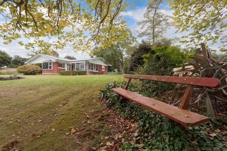 287 Quine Road Tahuna_24