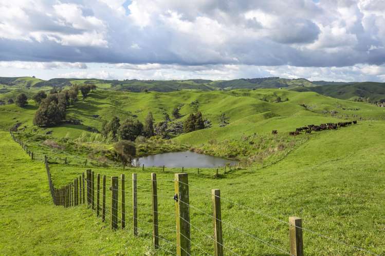 574 Mangaotaki Road Piopio_13