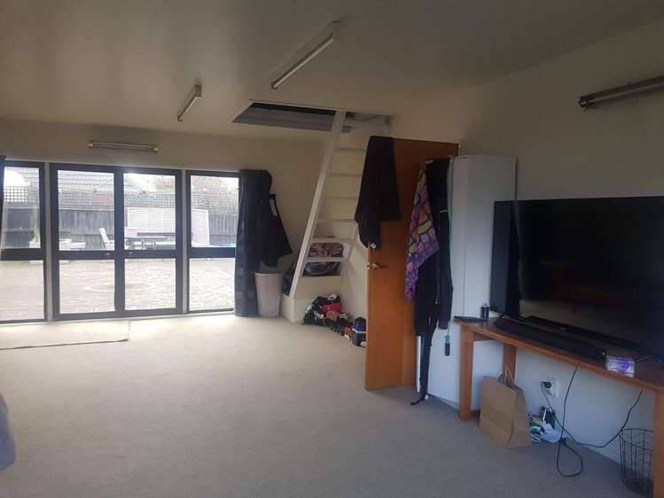 55 Lowry Avenue Redwood_10