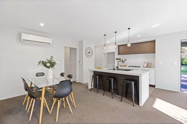33 Tiny Hill Drive Rolleston_2