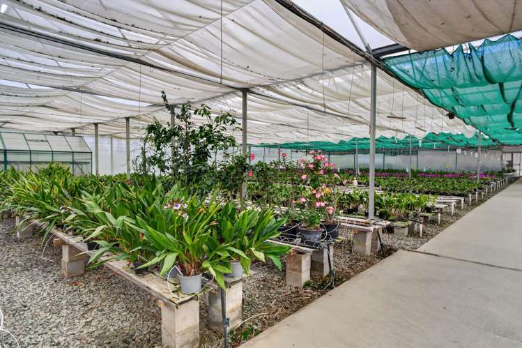 694 Mangakahia Road Poroti_6