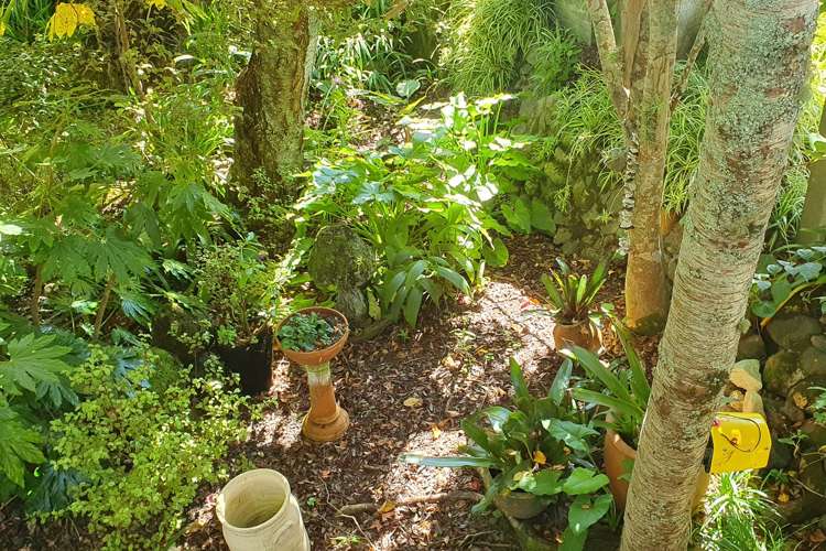 2 Otuturu Creek Road Thames_21