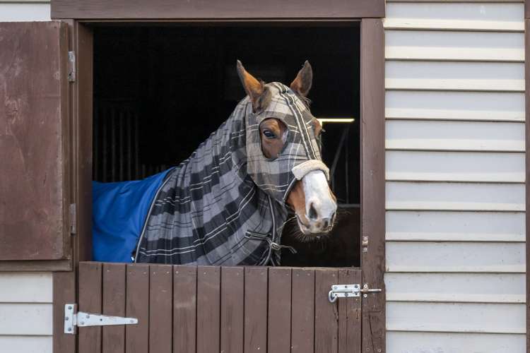 573 Burnham School Road Burnham_31