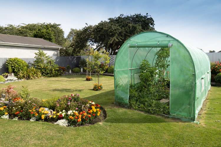 5 Rolleston Street Rakaia_15