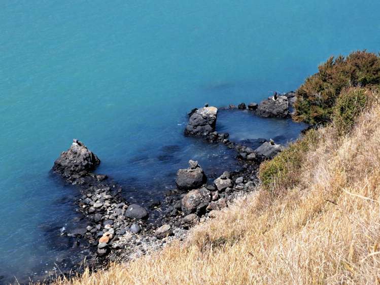 211 Wharf Road Port Levy_33