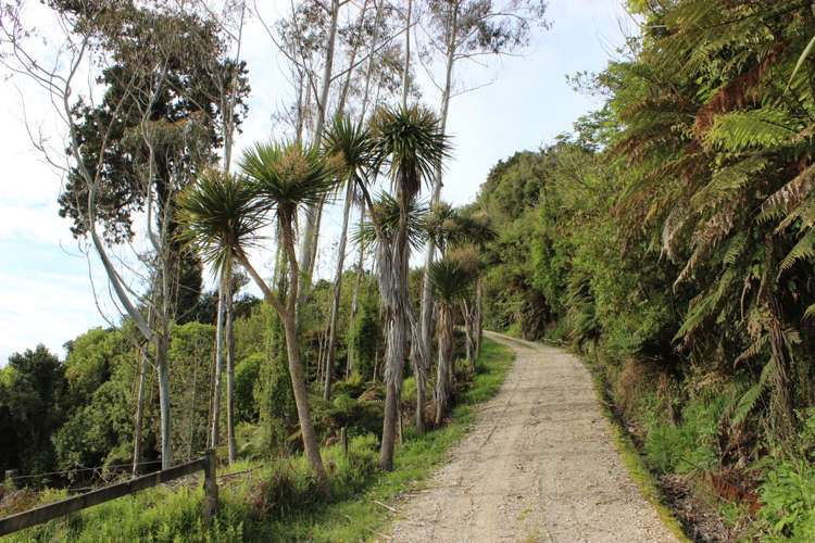 274 Wangapeka Road Kahurangi National Park_25