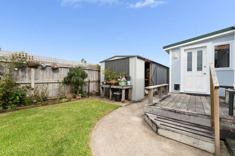 103A Parry Palm Avenue Waihi_13