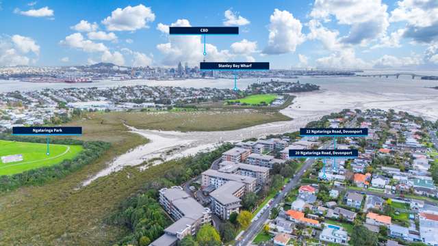 20 & 22 Ngataringa Road Devonport_3