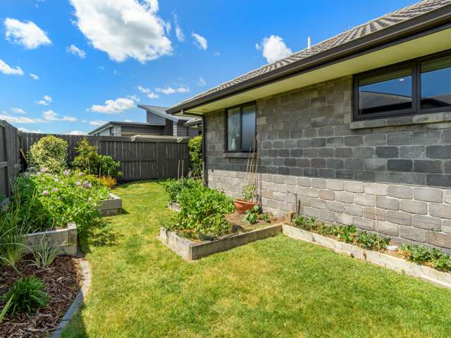 26 Cupples Street Papamoa_2