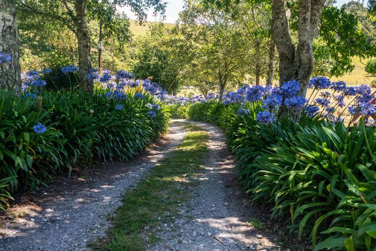 99 Rose Road Upper Moutere_16