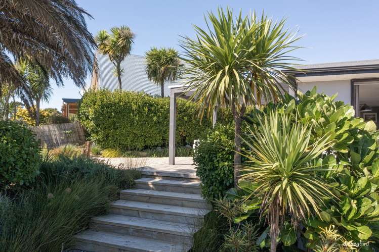 105 Greenslade Road Raglan_7