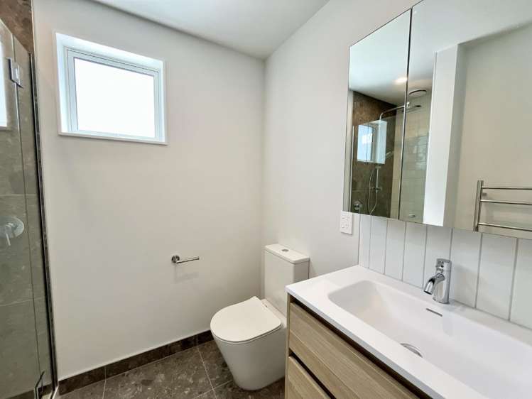 3/9 Winsor Crescent Spreydon_13