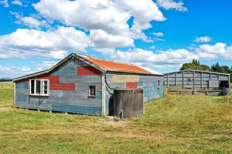 1177 Limehills Browns Road Winton Surrounds_9