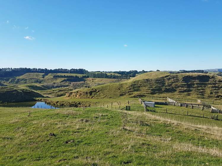 76064 State Highway 2 Rangitikei Surrounds_6