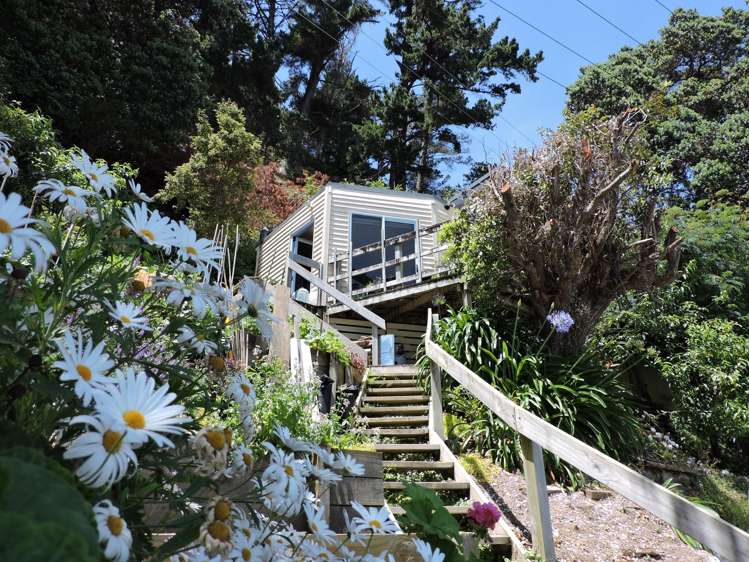 824 Thames Coast Road Te Mata_13