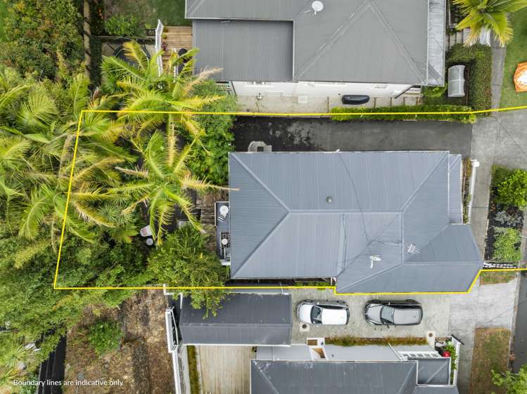 17 Alexander Street Kingsland_17