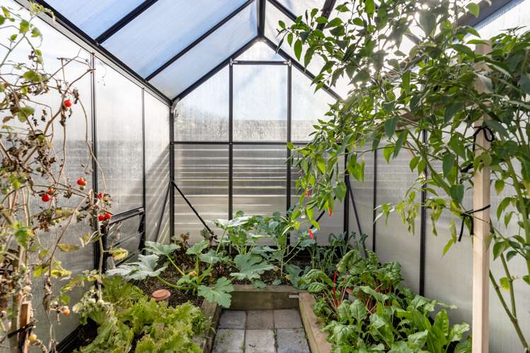 59b Simpson Road Papamoa_24