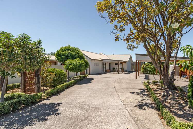 5 Massey Street Greytown_24
