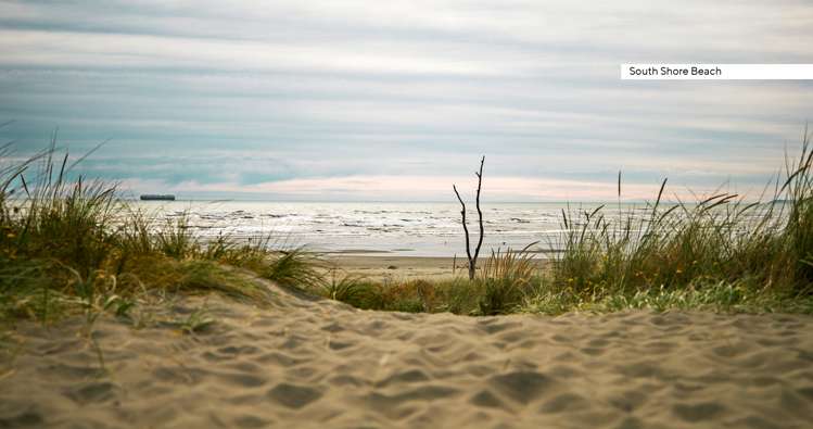 205 Rocking Horse Road Southshore_21