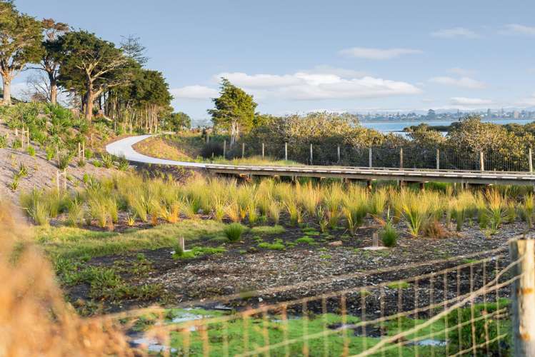 13/10 Ngaroma House Drive Hobsonville_23
