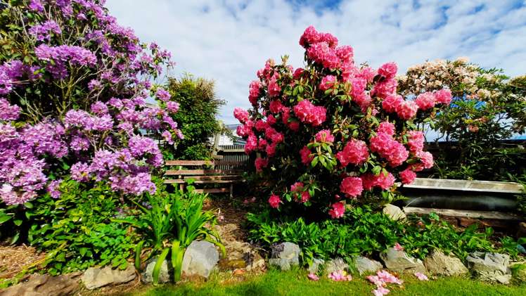 22b Naish Street Balclutha_10