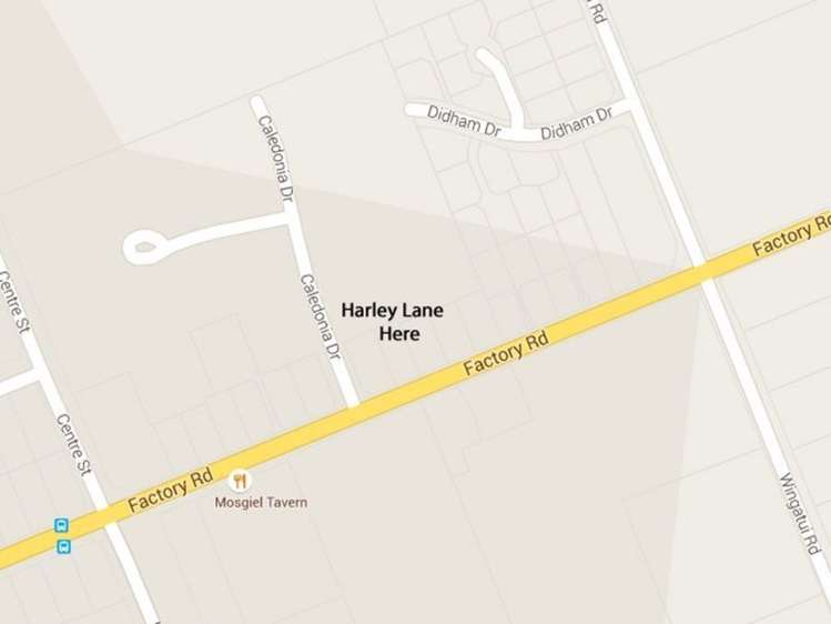 7 Harley Lane Mosgiel_20