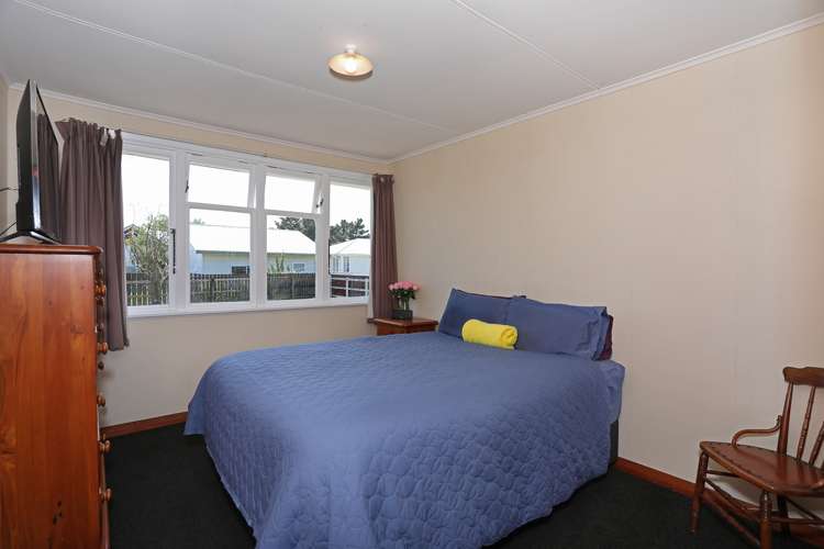 11 Ward Street Bulls_5