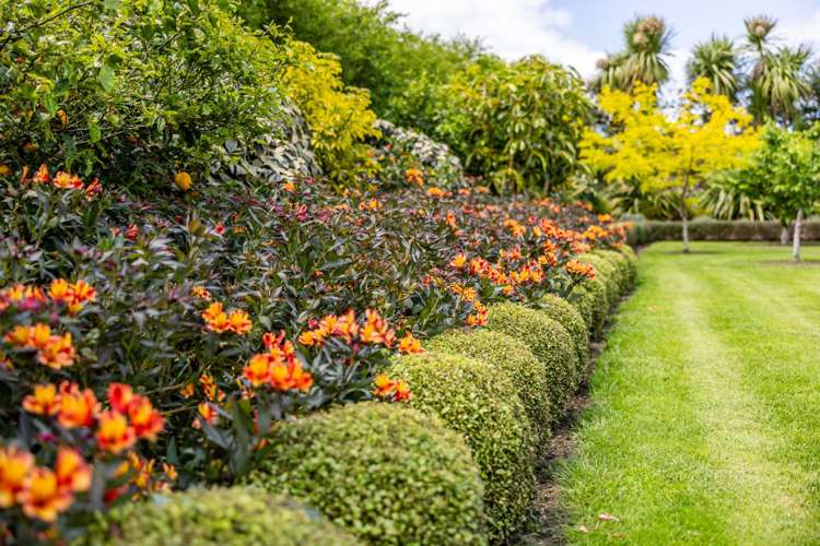 18 Pathways Drive Kerikeri_14