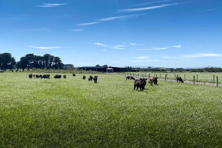 490 Maharahara Road Dannevirke_20