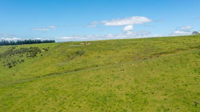 375 Snee Road Takapau_3