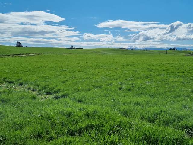 1794 Clydevale Road Clinton and Surrounds_1