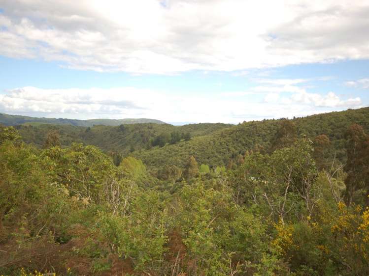 1310 Whangamata Road Marotiri_10