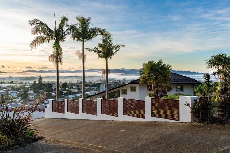 16 Louisa Lane Te Kamo_23