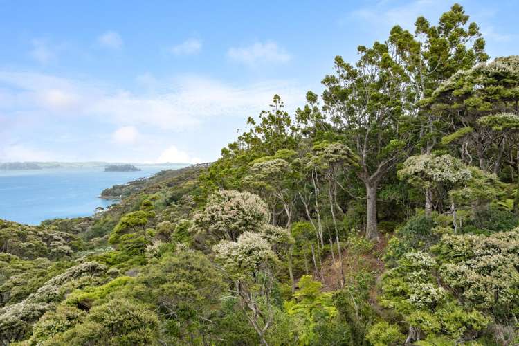 Lot 7 Smelting House Bay Kawau Island_9